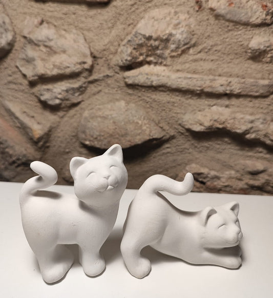 Distribuidor Bizcocho Blanco Set Gatetes 03
